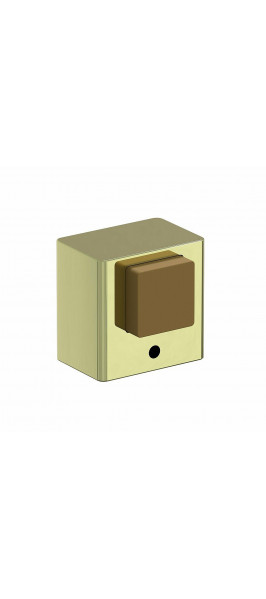 DS-1 G Золото