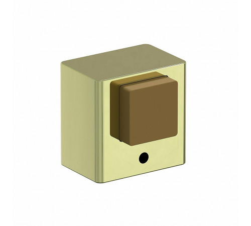 DS-1 G Золото