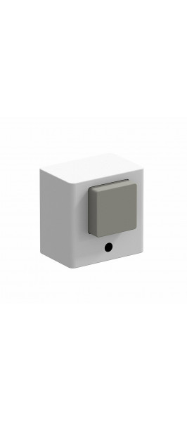 DS-1 W Белый