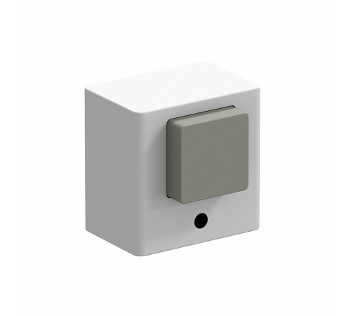 DS-1 W Белый