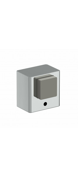 DS-1 C Хром