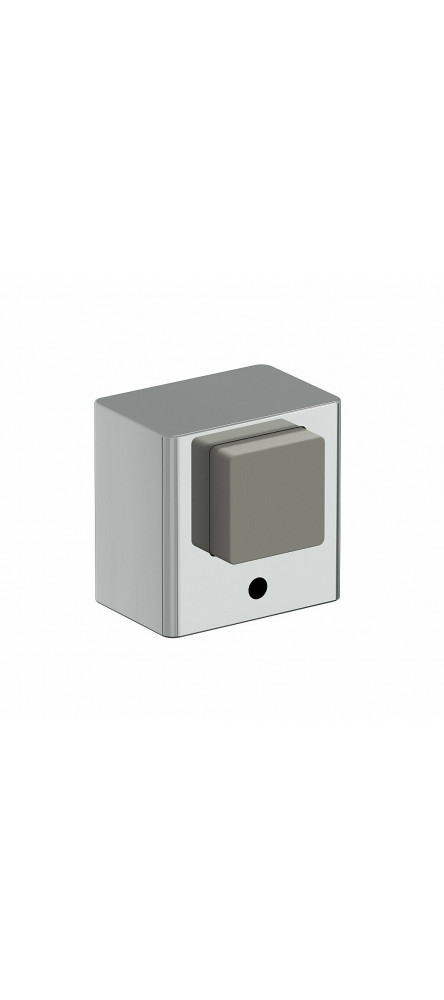 DS-1 C Хром