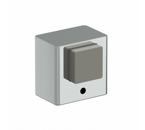 DS-1 C Хром