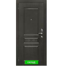 Металлическая дверь SD Prof-10