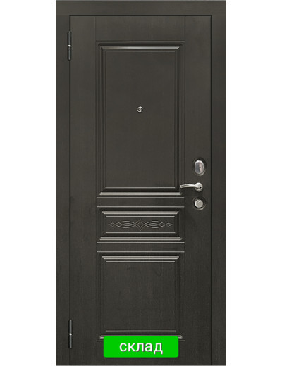 Дверь SD Prof-10 